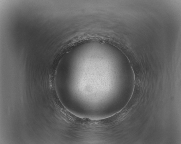 X0000075381490200609151715