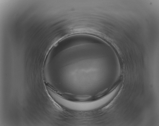 X0000075381529200609151715