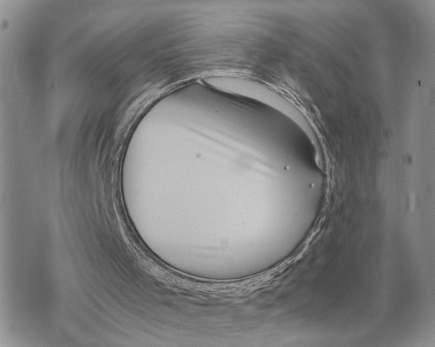 X0000075380001200609251204