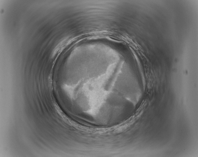 X0000075380002200609251204