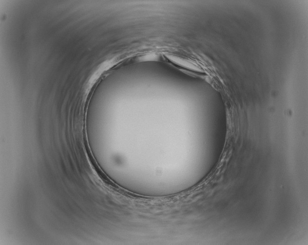 X0000075380003200609251204