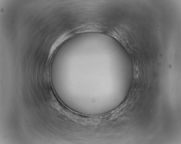 X0000075380004200609251204