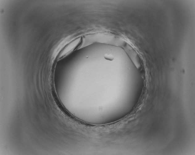 X0000075380007200609251204