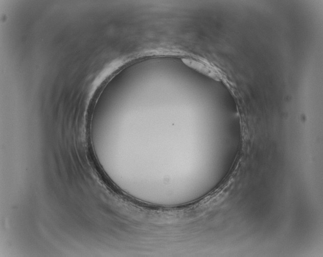 X0000075380008200609251204