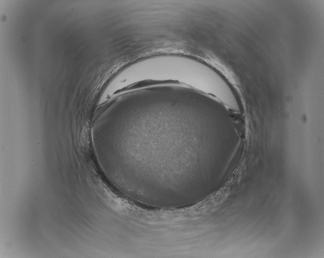 X0000075380009200609251204