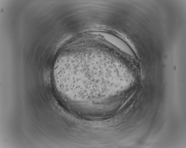 X0000075380010200609251204