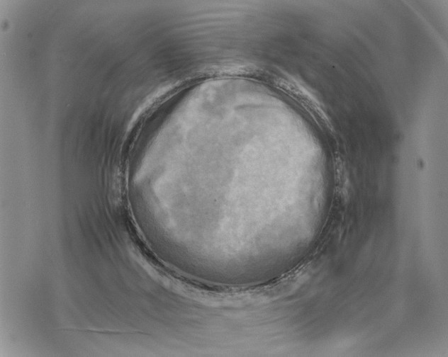 X0000075380012200609251204