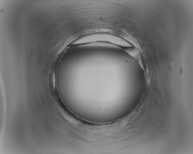 X0000075380013200609251204