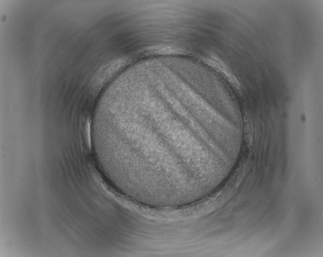 X0000075380014200609251204