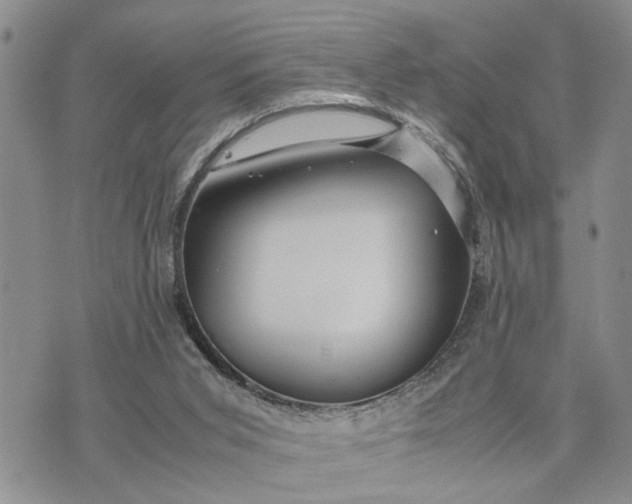 X0000075380015200609251204