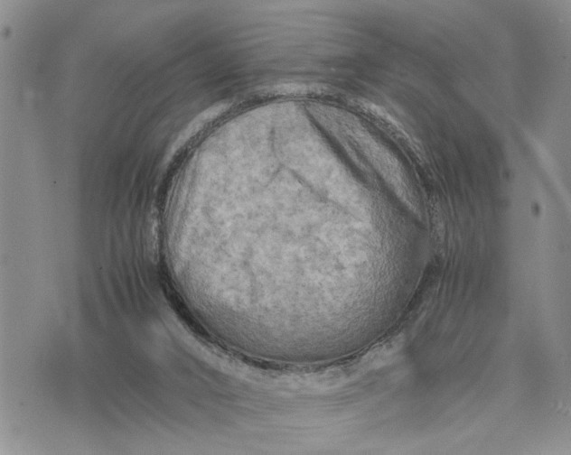 X0000075380016200609251204