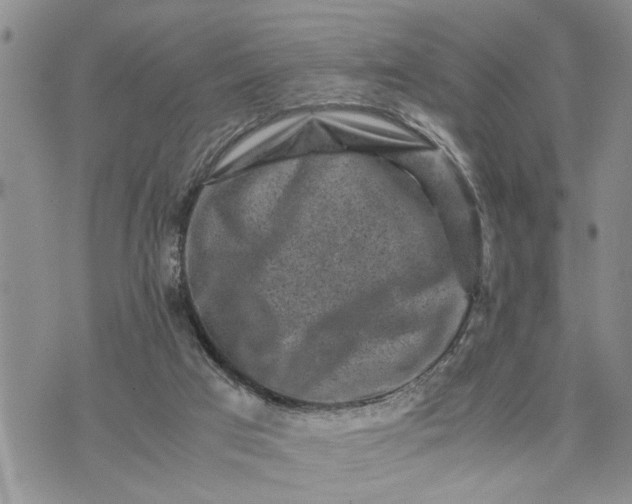 X0000075380017200609251204