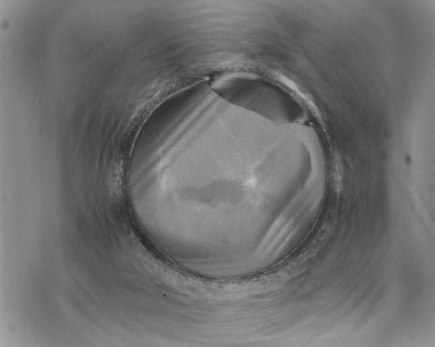 X0000075380018200609251203