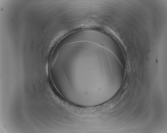 X0000075380019200609251203