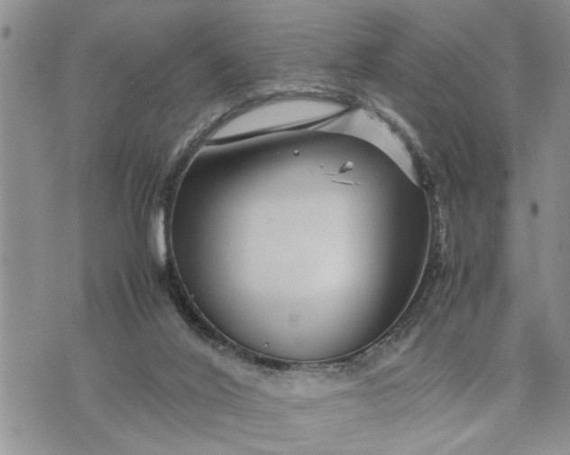 X0000075380020200609251203