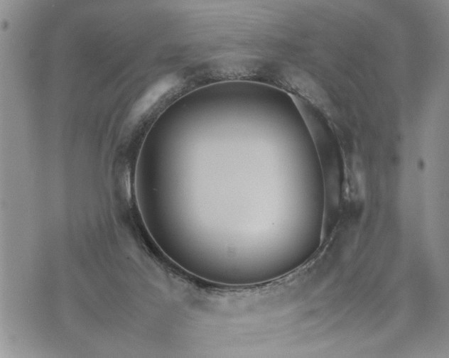 X0000075380021200609251203