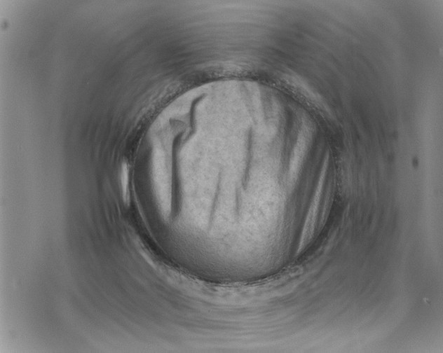 X0000075380022200609251203