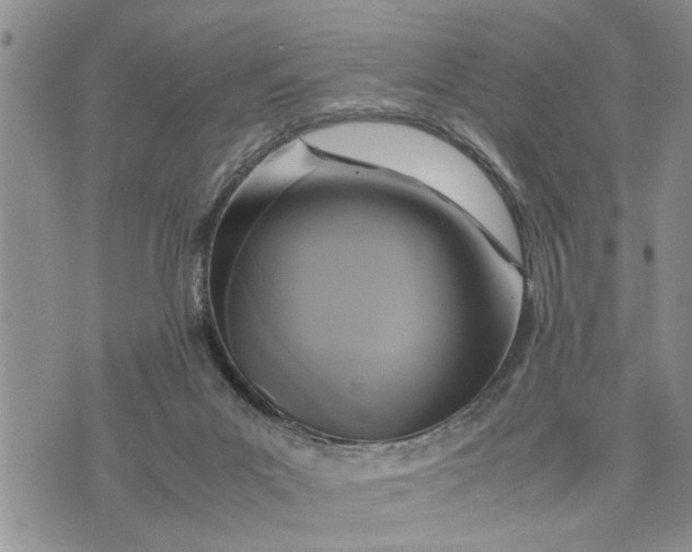 X0000075380023200609251203