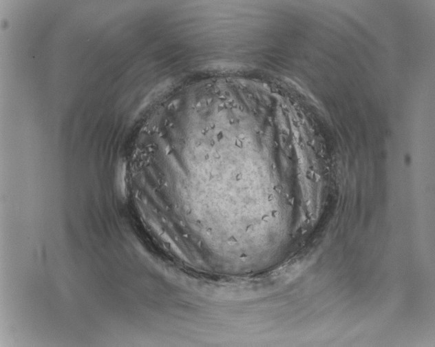 X0000075380024200609251203