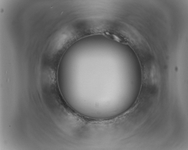 X0000075380025200609251203