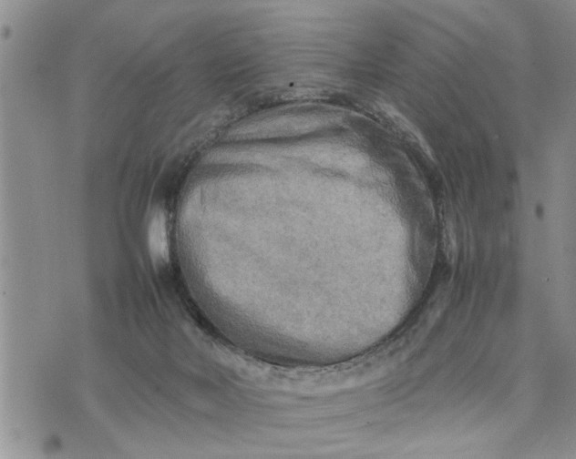 X0000075380026200609251203