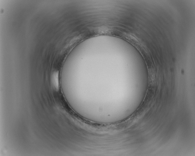 X0000075380028200609251203