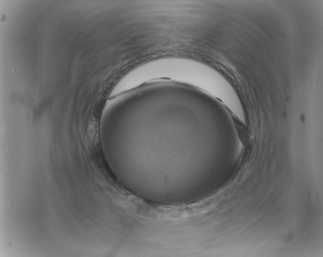 X0000075380029200609251203