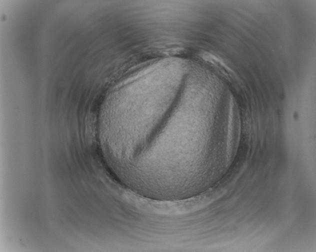 X0000075380030200609251203