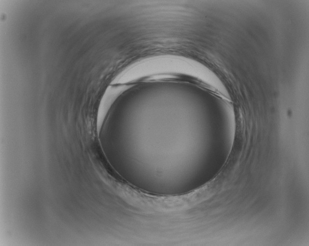 X0000075380031200609251203