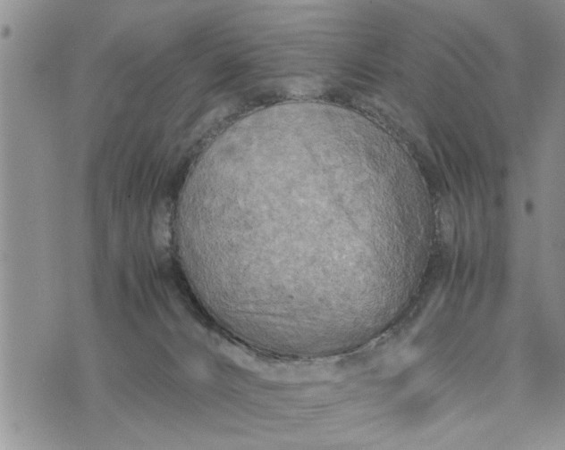 X0000075380032200609251203