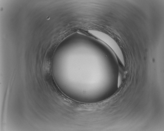 X0000075380033200609251203