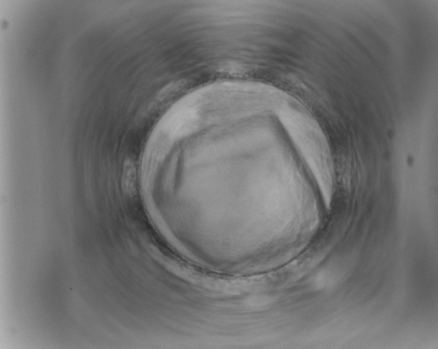 X0000075380036200609251203