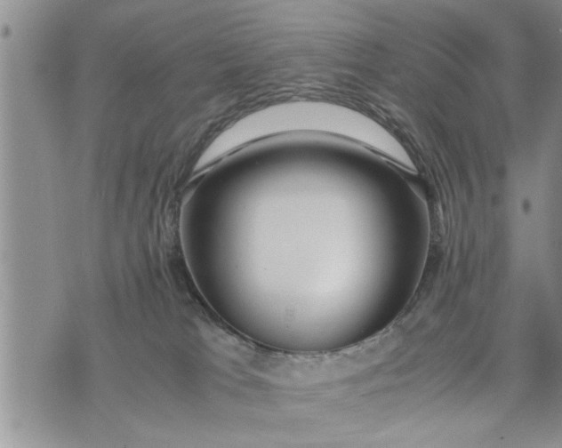 X0000075380037200609251203