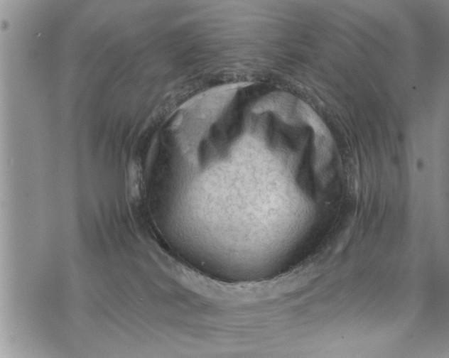 X0000075380038200609251203