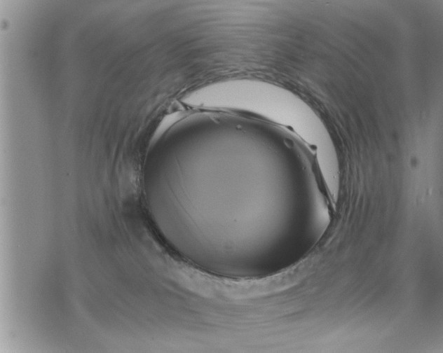 X0000075380039200609251203