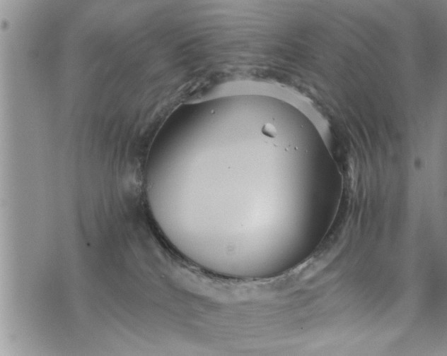 X0000075380040200609251203