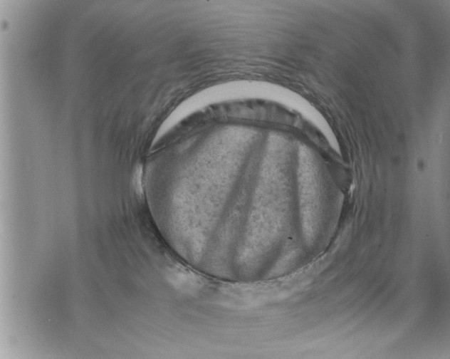 X0000075380041200609251203