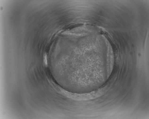 X0000075380042200609251203