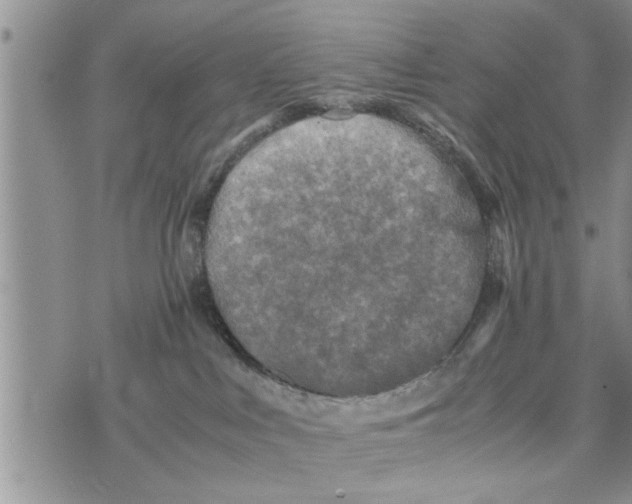 X0000075380043200609251203