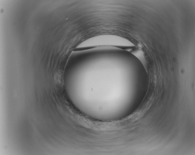 X0000075380044200609251203