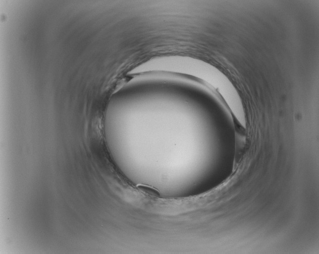 X0000075380045200609251203