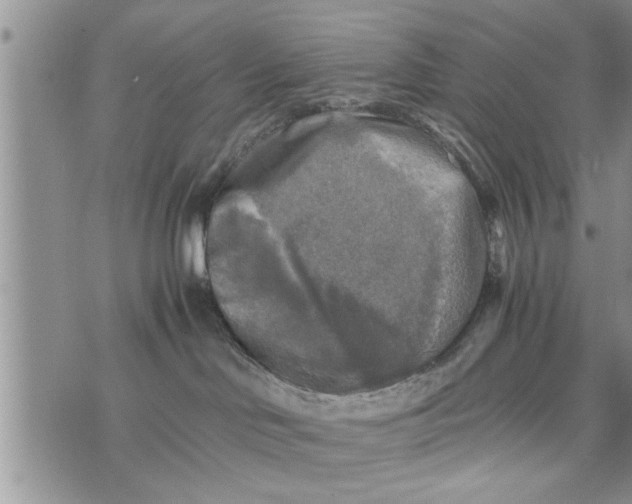 X0000075380046200609251203