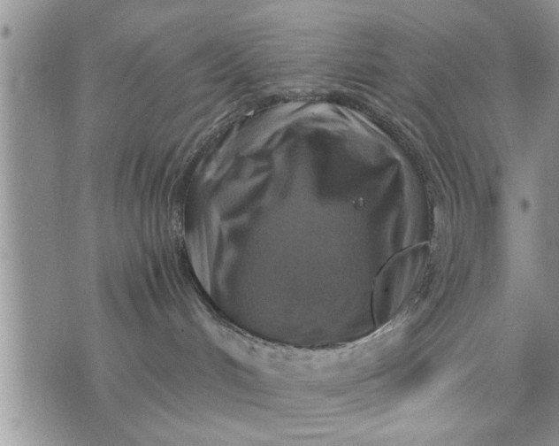 X0000075380048200609251203