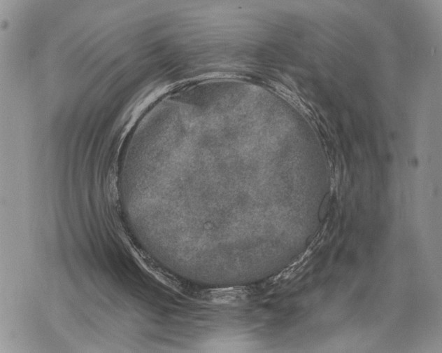 X0000075380050200609251202