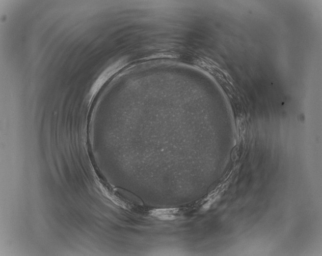 X0000075380051200609251202