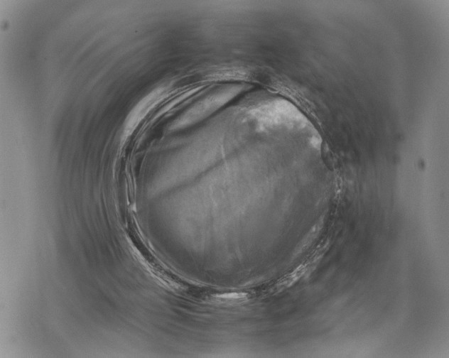 X0000075380053200609251202