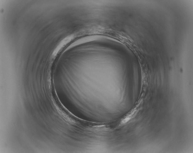 X0000075380054200609251202