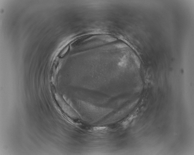 X0000075380055200609251202