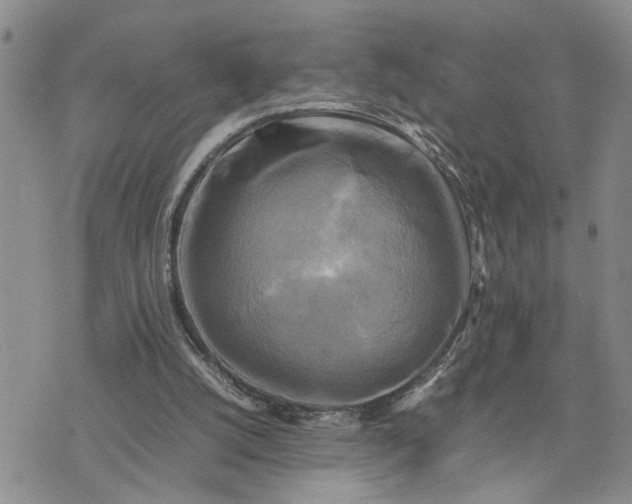 X0000075380056200609251202