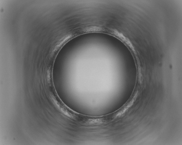 X0000075380057200609251202